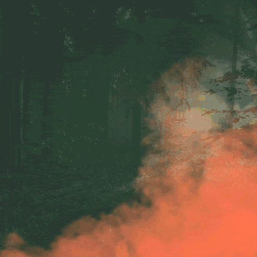 Bosques incendian